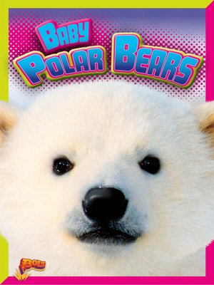 cover image of Baby Polar Bears